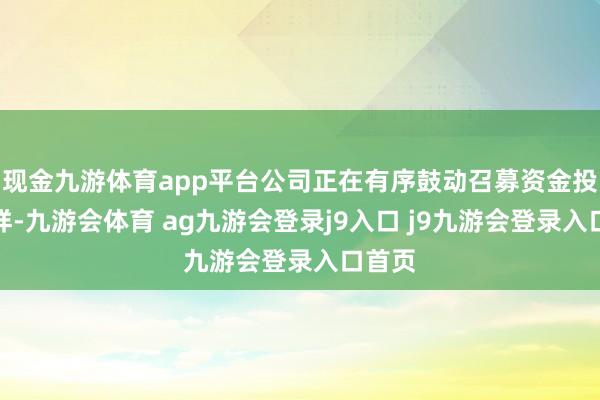 现金九游体育app平台公司正在有序鼓动召募资金投资花样-九游会体育 ag九游会登录j9入口 j9九游会登录入口首页