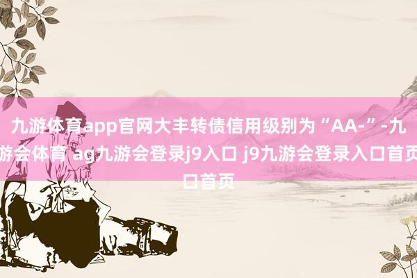 九游体育app官网大丰转债信用级别为“AA-”-九游会体育 ag九游会登录j9入口 j9九游会登录入口首页
