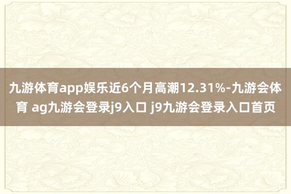 九游体育app娱乐近6个月高潮12.31%-九游会体育 ag九游会登录j9入口 j9九游会登录入口首页