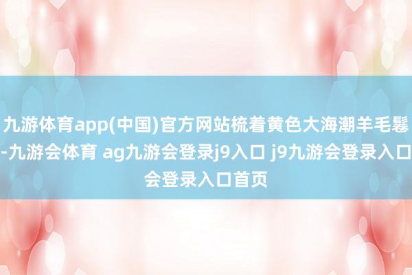 九游体育app(中国)官方网站梳着黄色大海潮羊毛鬈发型-九游会体育 ag九游会登录j9入口 j9九游会登录入口首页